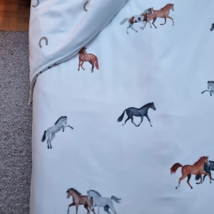 horses6.jpg