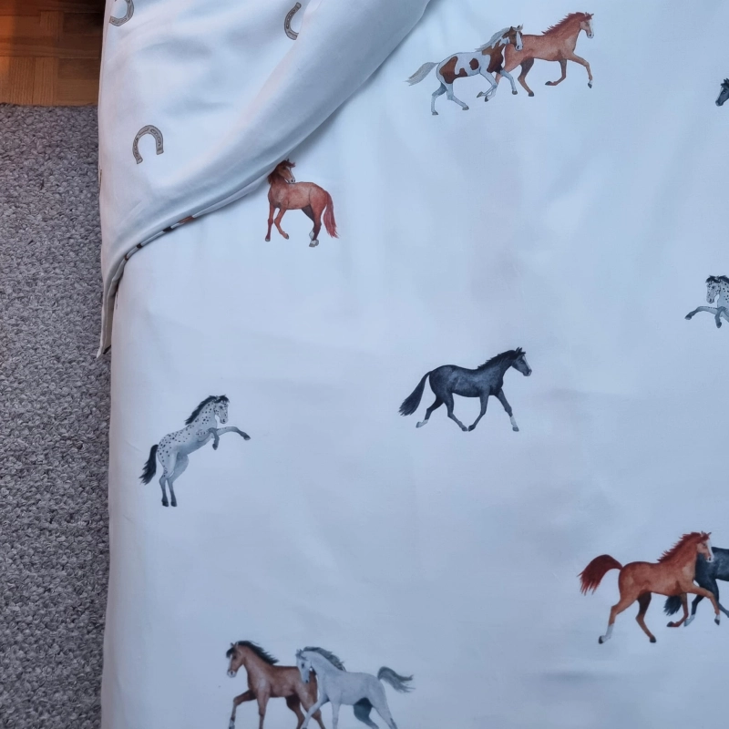 horses6.jpg