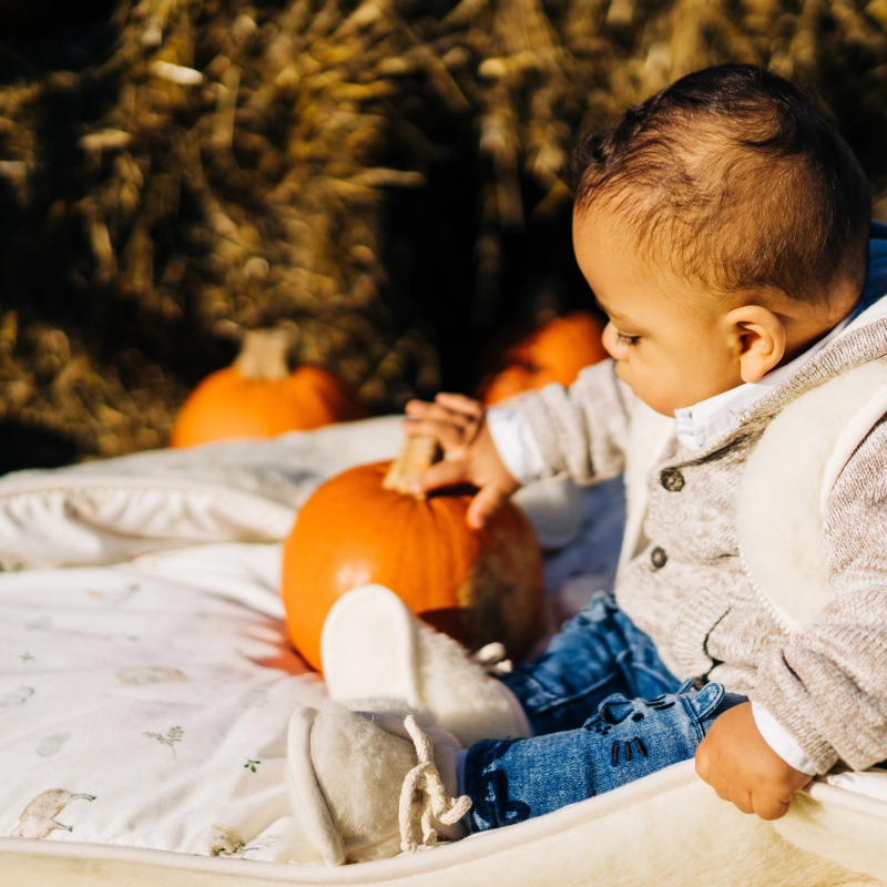kocyk merino2.jpg